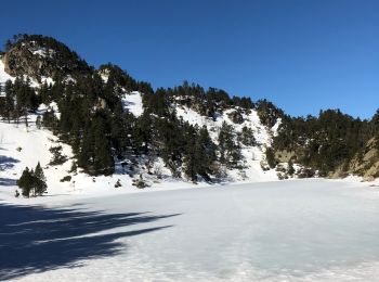 Tour Schneeschuhwandern Les Angles - Raquettes depuis les Angles - Photo