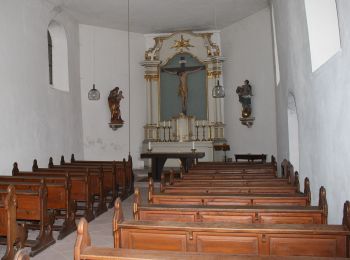 Tour Zu Fuß Lorch - Rundwanderweg Lorch 2 - Photo