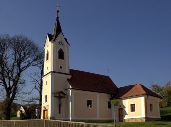 Tocht Te voet Feistritztal - Wanderweg 6 - Photo