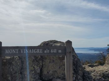 Randonnée Marche Fréjus - ESTEREL trace Mont Vinaigre - Photo