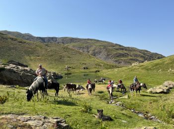 Trail Horseback riding Canfranc - Gavarnie étape 1 - Photo
