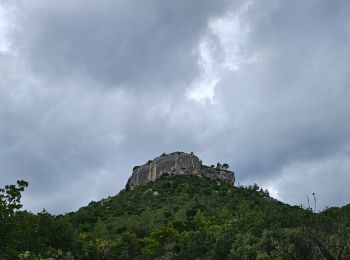 Excursión Senderismo Le Castellet - Autour de la roche Redonne - Photo