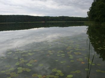 Percorso A piedi  - Rezerwat Kolno Międzychodzkie - Kobylarnia - Photo