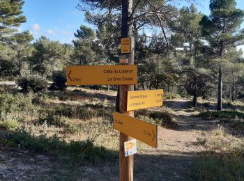 Trail Walking Cabrières-d'Aigues - Cabrières d'Aigues - Photo