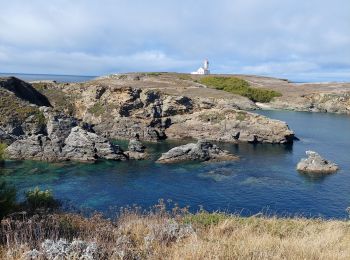 Randonnée Marche Sauzon - POINTE DES POULAINS - Photo