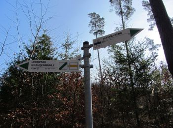 Randonnée A pied Blankenberg - Naturlehrpfad 