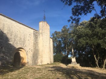 Tour Wandern Puéchabon - Chapelle Saint-Sylvestre - Pioch de Ła Bastide - Photo
