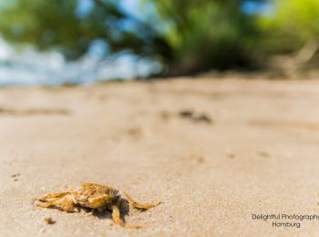 Percorso A piedi Seevetal - Wanderweg OV - Photo