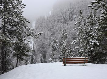 Tour Schneeschuhwandern Uvernet-Fours - Pra Loup - Cabane Forestière du Fau - Photo