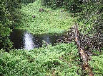 Randonnée A pied Rauris - Knappenweg Kolm/Saigurn - Photo