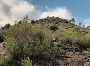 Trail Walking Le Val - circuit des chapelles-le Val-07-09-22 - Photo