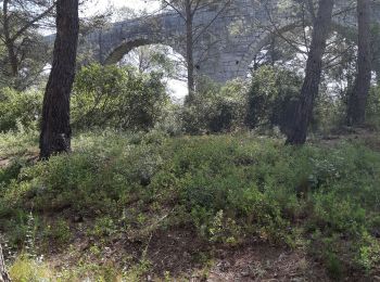 Tour Wandern Castries - 34 aqueducs de castrie - Photo