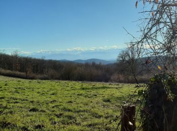 Tour Wandern Aurignac - Sentier des 7 collines - Balades et randonnées au Pays de l'Aurignacien - Photo