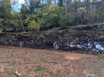 Tocht Stappen Seraing - site en réhabilitation du bois St jean  - Photo