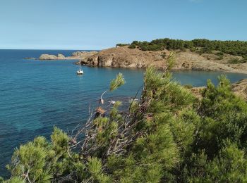 Excursión Senderismo Cerbère - Cerbère Llança Litoral2 - Photo