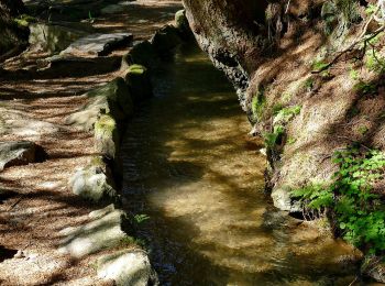 Trail On foot Moos in Passeier - Moso in Passiria - 6A - Photo