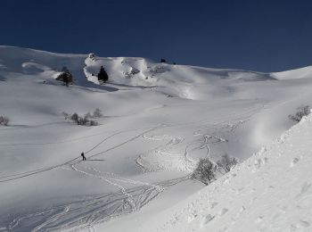 Trail Snowshoes Bourg-d'Oueil - Pierrefitte col - Photo