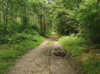 Trail Coupling Coye-la-Forêt - randonné jl Dark 1 er juillet - Photo