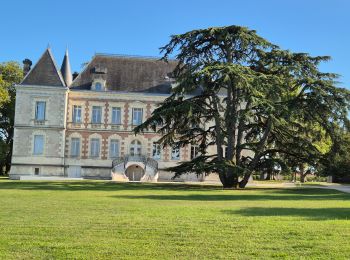 Tocht Stappen Cussac-Fort-Médoc - estuaire en partant de cussac fort médoc  - Photo