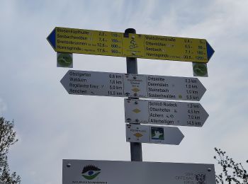 Randonnée A pied Kappelrodeck - Ortenauer Weinschleife - Badens schönste Weinsicht - Photo