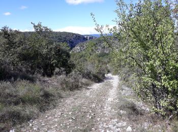 Trail Walking Les Vans - Igressiere-lestong-hermite - Photo