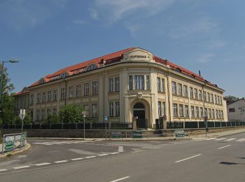 Tocht Te voet Gemeinde Litschau - AT-14 - Photo