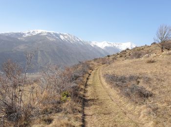 Trail Trail Latour-de-Carol - Boucle de Latour-de-Carol - Photo