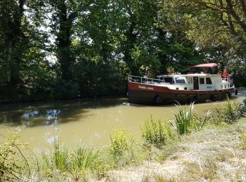 Trail Walking Vias - Canal du Midi Vias Agde - Photo