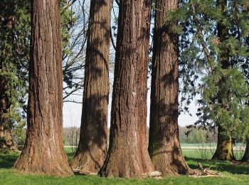 Excursión A pie Hemmingen - DE-SAV Blauer Punkt, Leonberg Bhf - Vaihingen/Enz - Photo