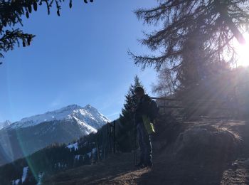 Trail Walking Anniviers - Grimentz Parcours de la Montagnetta (PVDB) - Photo