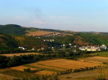 Tocht Te voet Merxheim - Winchendeller Weiher - Photo