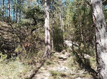 Trail Walking Aubignosc - aubignosc. les canyons. partie basse - Photo