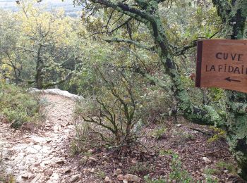 Trail Walking La Garde-Adhémar - la garde adhemard - Photo