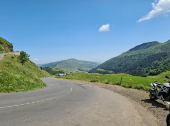Tour Wandern Laveissière - Le Lioran Puy Mary - Photo