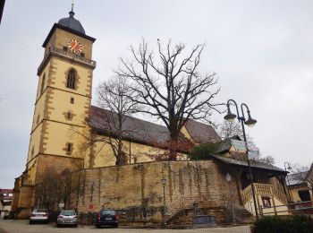 Tour Zu Fuß Schwieberdingen - DE-SAV Blaues Kreuz, Botnang - Ditzingen - Markgröningen? - Photo