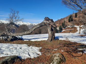 Tocht Stappen Saccourvielle - cap de la Montagnette en boucle depuis Saccourvielle  - Photo