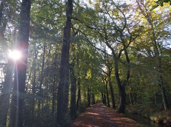 Tocht Mountainbike Arfons - VTT raf - Photo