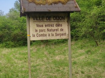 Percorso Corsa a piedi Corcelles-les-Monts - Combe à la Serpent 1 - Photo