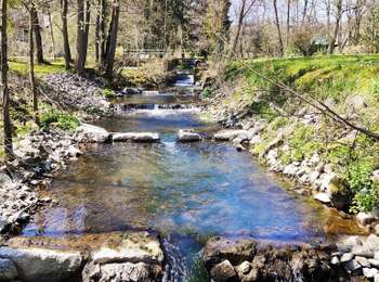 Trail Walking Chimay - Promenade de l’eau blanche  - Photo
