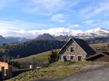 Excursión Senderismo Chambon-sur-Lac - Chambon_Moneaux - Photo