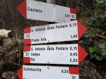 Trail On foot Brenzone sul Garda - Castello di Brenzone - Prada Alta - Photo