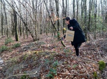 Trail Walking Arfons - jonquilles - samedi-26-03-22 - Photo