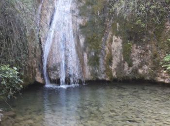 Excursión Marcha nórdica Barcelonne - barcelonne par la cascade  - Photo