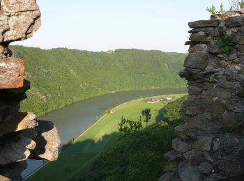 Randonnée A pied Niederkappel - Donauschlingenweg - Photo