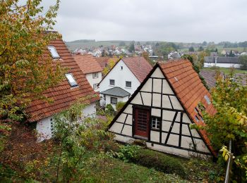 Randonnée A pied Aichtal - Aich - Harthausen - Photo
