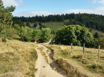 Tocht Mountainbike Orbey - Orbey - Labaroche - Col du Wettstein - Photo