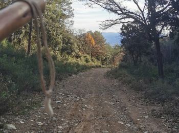 Trail Walking Cuers - En dessous des Barres de Cuers  - Photo