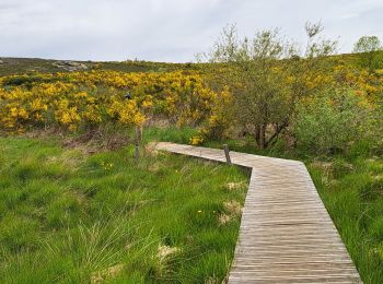 Tocht Stappen Rosis - Sommet du Caroux - Photo