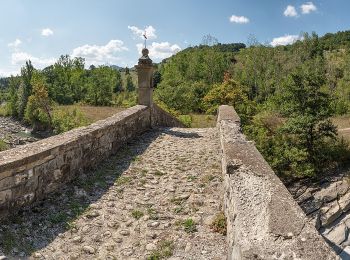 Tour Zu Fuß Toano - IT-613 - Photo