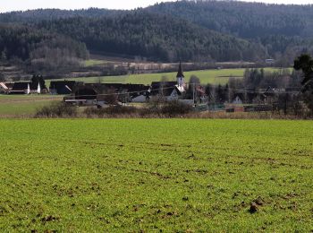 Percorso A piedi Neukirchen bei Sulzbach-Rosenberg - Neukirchener Juralandschaftsrundweg - Photo